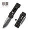 WEKNIFE Tyro Superlock Knife Black / Golden Titanium Handle (2.91" Hakkapella Damasteel Blade) WE24001 - DS1, With An Extra Pivot Screw